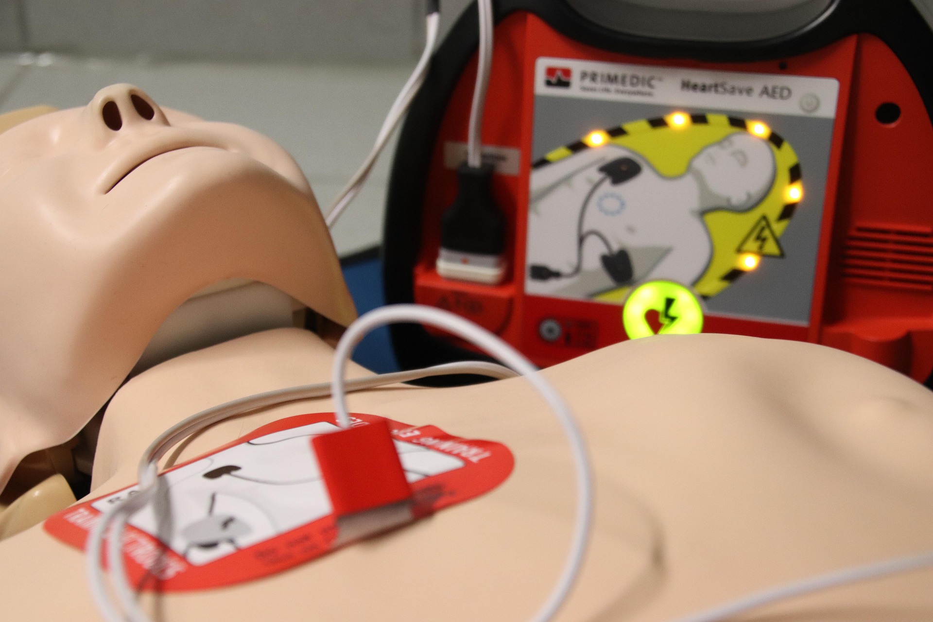 jamesrein-first-aid-4089599_1920 (c) https://pixabay.com/de/photos/erkunden-wild-natur-kinder-1517977/